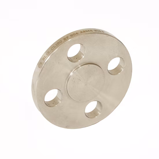 B16.9 JIS B2311 DIN2605 Brida de acero inoxidable Brida ciega forjada Brida para gafas