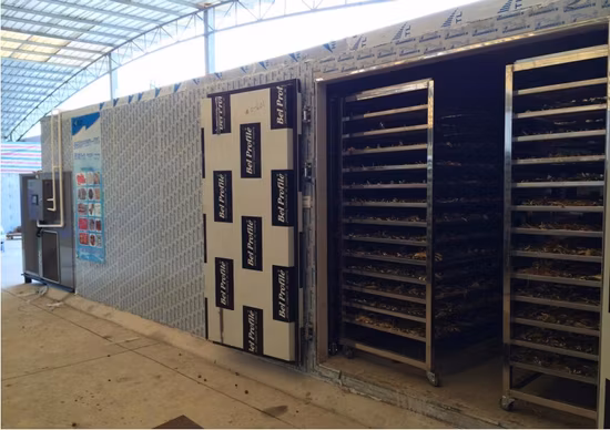 Secado de aire caliente, deshidratador de pescado, frutas, verduras, secadora, secadora