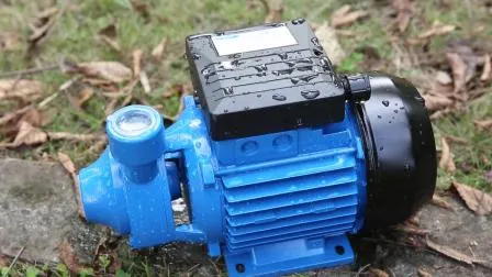 Impulsor de latón fundido de hierro Periférico eléctrico Vortex Micro Auto Bomba de agua de superficie Bomba Graden para riego agrícola (QB60)